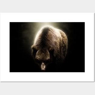 Brown Bear Animal Forest Wild Jungle Nature World Earth Posters and Art